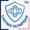 Sticker logo rugby - Club Castres - Castres Olympique