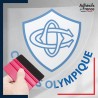 stickers sous film transfert logo rugby - Club Castres - Castres Olympique