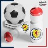 autocollant petit format emblème Football - Equipe d'Ecosse