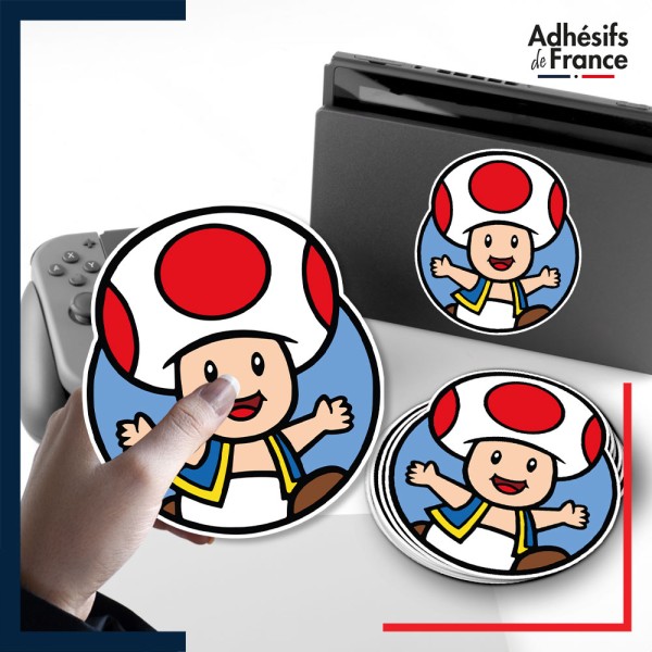 autocollant petit format Super Mario - Cadre Toad