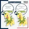 sticker sur plaque aluminium dibond ou panneau PVC Sticker Pokémon Macronium