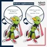 sticker sur plaque aluminium dibond ou panneau PVC Sticker Pokémon Xatu