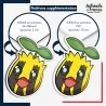 sticker sur plaque aluminium dibond ou panneau PVC Sticker Pokémon Tournegrin
