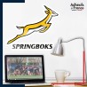 Adhésif grand format logo équipe d'afrique du sud - springboks