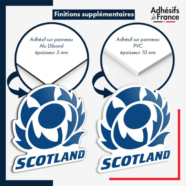 sticker sur plaque aluminium dibond ou panneau PVC logo rugby - Ecosse - Scotland - Thistle (Le XV du chardon)