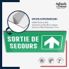Plaque signalétique d'évacuation - Sortie de secours - Flèche haut