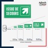 Visibilité et installation de signalétique évacuation - Issue de secours - Flèche haut droite