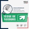 Plaque signalétique d'évacuation - Issue de secours - Flèche haut droite
