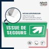 Panneau de signalisation des évacuations - Issue de secours - Flèche haut droite