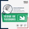 Plaque signalétique d'évacuation - Issue de secours - Flèche bas droite
