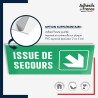 Panneau de signalisation des évacuations - Issue de secours - Flèche bas droite