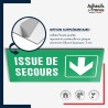 Plaque signalétique d'évacuation - Issue de secours - Flèche bas