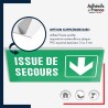 Panneau de signalisation des évacuations - Issue de secours - Flèche bas
