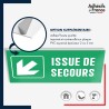 Panneau de signalisation des évacuations - Issue de secours - Flèche bas gauche