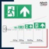 Visibilité et installation de signalétique évacuation -  Flèche haut