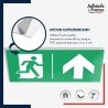 Panneau de signalisation des évacuations - Flèche haut