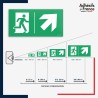 Visibilité et installation de signalétique évacuation -  Flèche haut droite