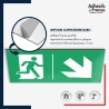 Plaque signalétique d'évacuation - Flèche bas droite