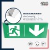 Panneau de signalisation des évacuations - Flèche bas