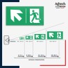 Visibilité et installation de signalétique évacuation -  Flèche haut gauche