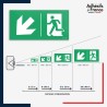 Visibilité et installation de signalétique évacuation -  Flèche bas gauche