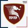 Sticker du club Salernitana