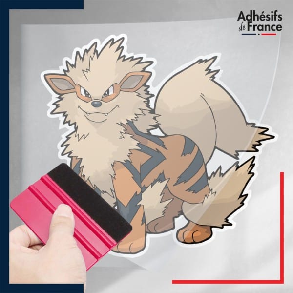 stickers sous film transfert Pokémon Arcanin