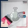 stickers sous film transfert Pokémon Magnéti