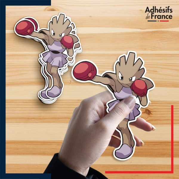 autocollant petit format Pokémon Tygnon