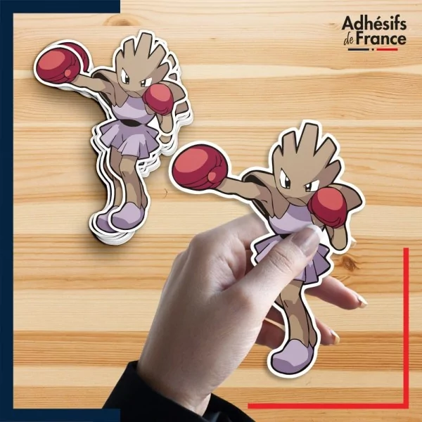 autocollant petit format Pokémon Tygnon