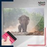 adhésif autocollant sous film transfert animaux Eléphant et son éléphanteau