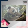 adhésif autocollant sous film transfert animaux Panda