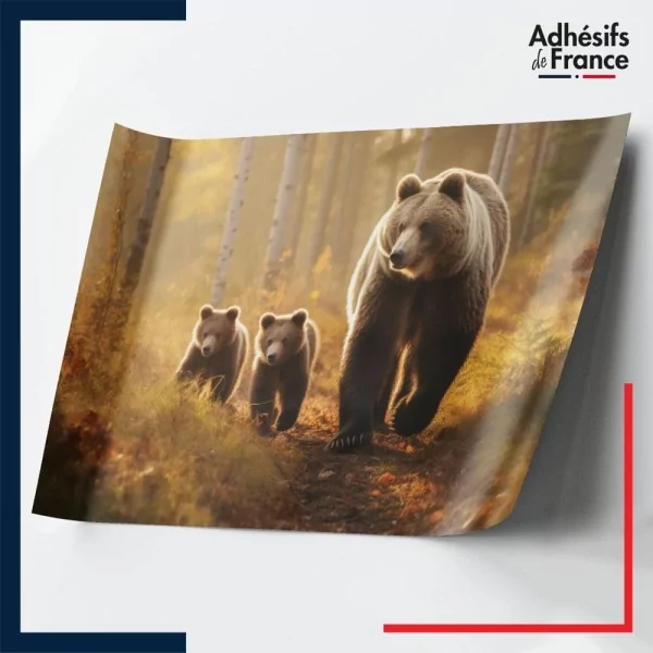 Adhésif animaux Ours