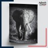 Adhésif animaux Eléphant noir et blanc