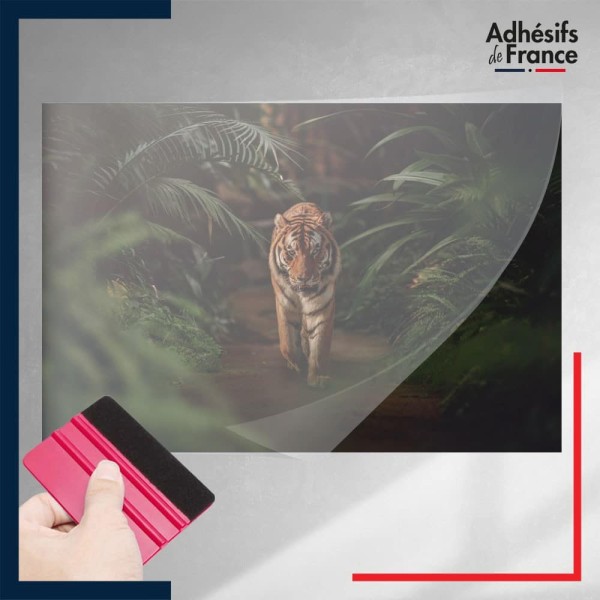 adhésif autocollant sous film transfert animaux Tigre