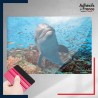 adhésif autocollant sous film transfert animaux Dauphin