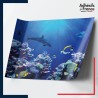 Adhésif animaux Dauphin et poissons