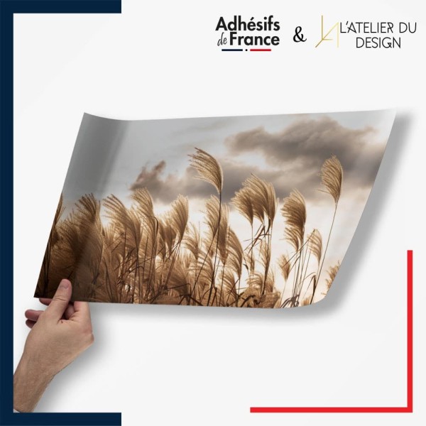 Adhésif Nature - Fleurs de pampa