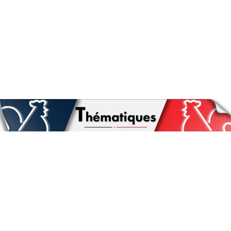 Thématiques