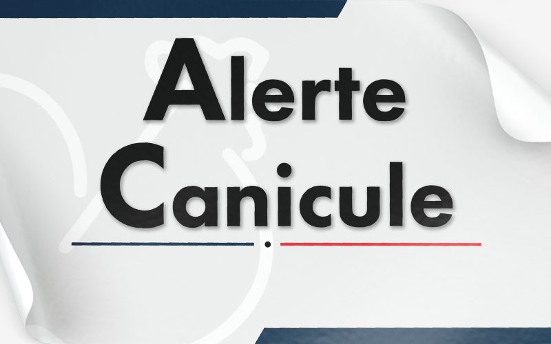 Alerte canicule